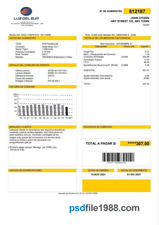 Peru Luz de Sur Utility Bill